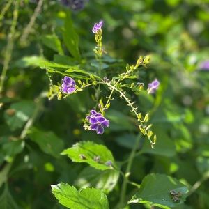 Meet your Posher, Claire